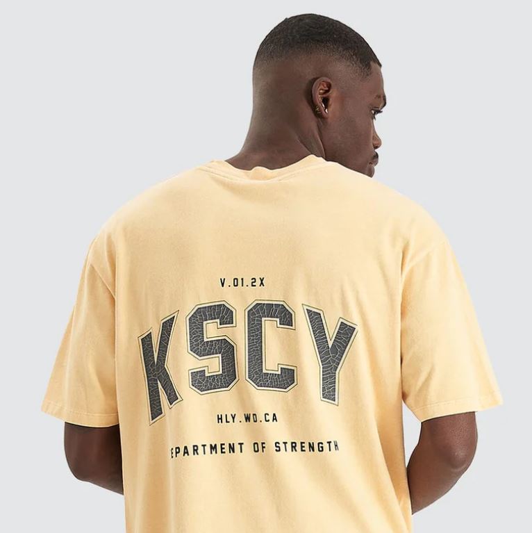 oversized fit HEAT BOX FIT TEE pigment sunburst mens t-shirt clothing yellow