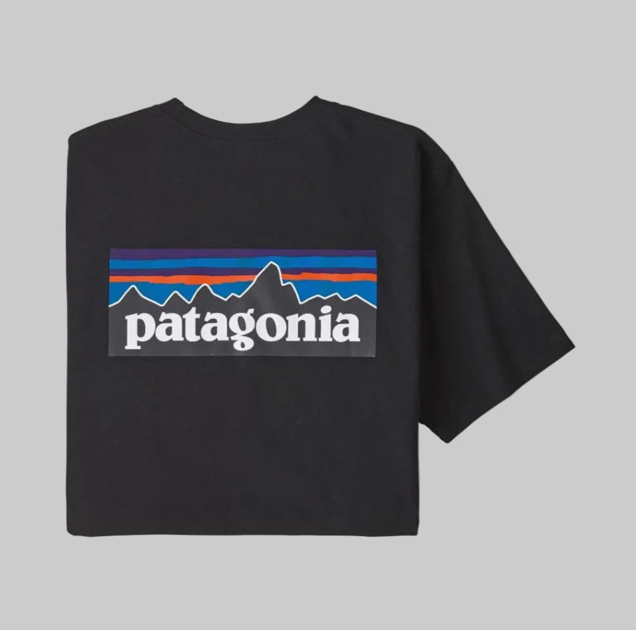 mens t shirts, patagonia, mens shirts ,