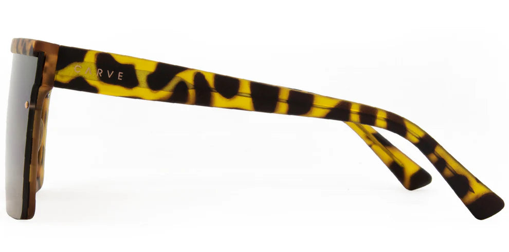 MUSE, TORT BROWN, CARVE, SUNGLASSES