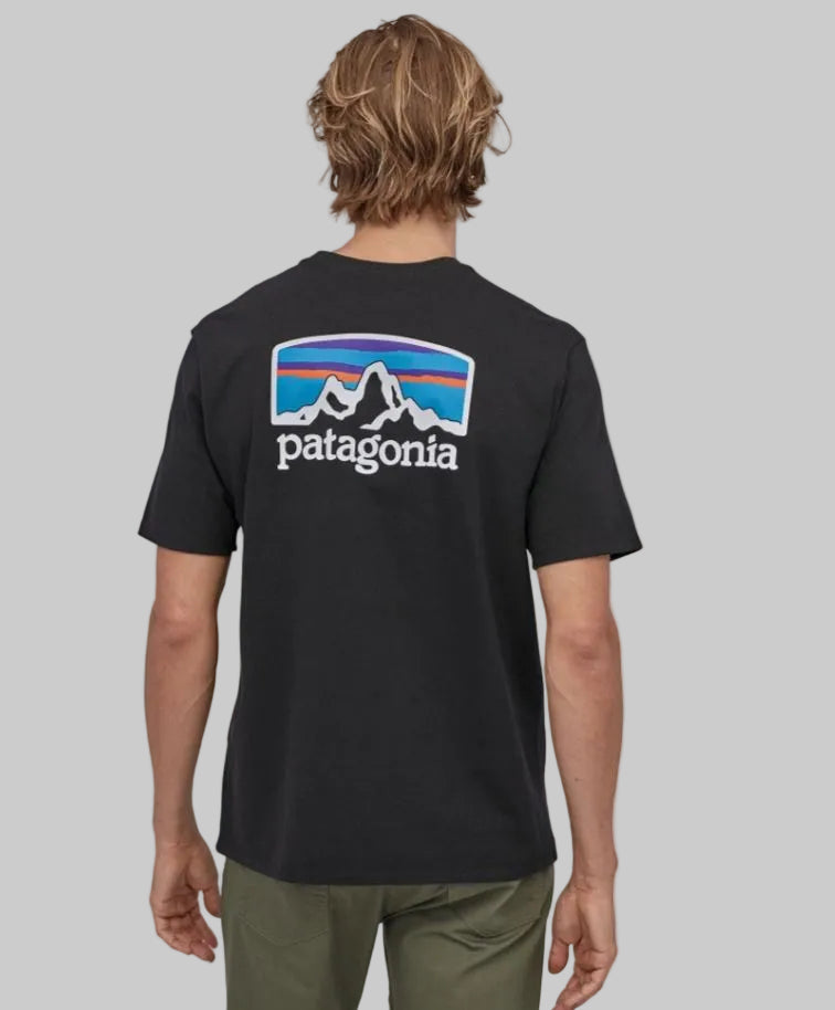 mens clothing, tshirt, patagonia, casual