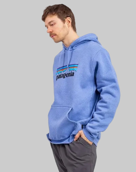 A person wearing a blue hooded sweatshirt with the Patagonia logo in the center of the chest.