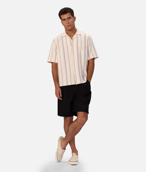 blue stripe shirt