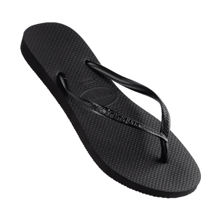 SLIM BASIC