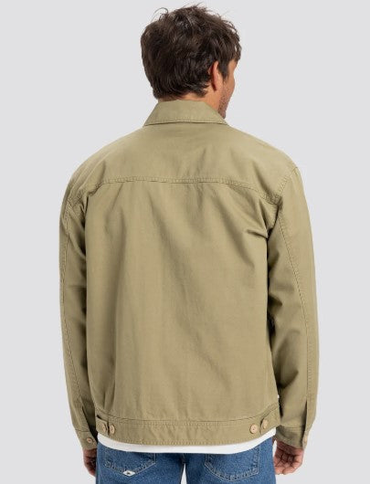 DNA SURF HARRINGTON