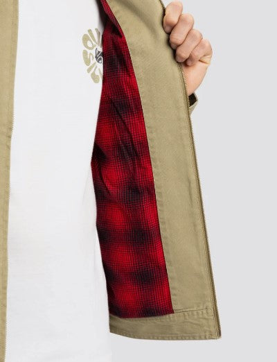 DNA SURF HARRINGTON