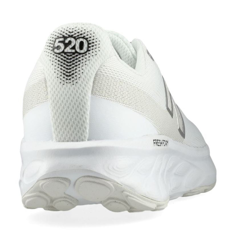 FRESH FOAM 520 V9