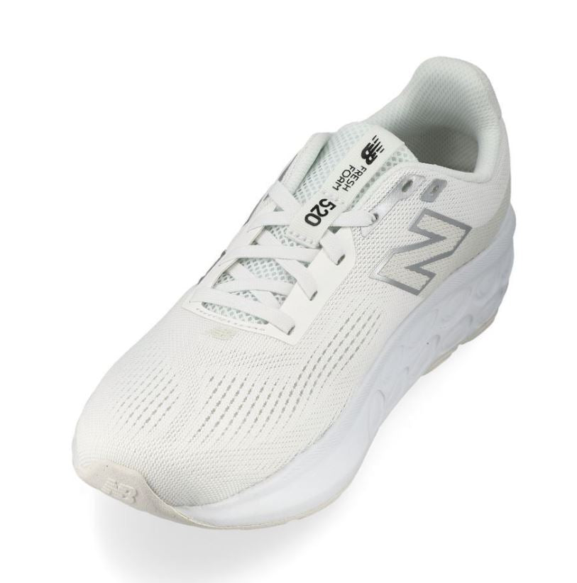 FRESH FOAM 520 V9