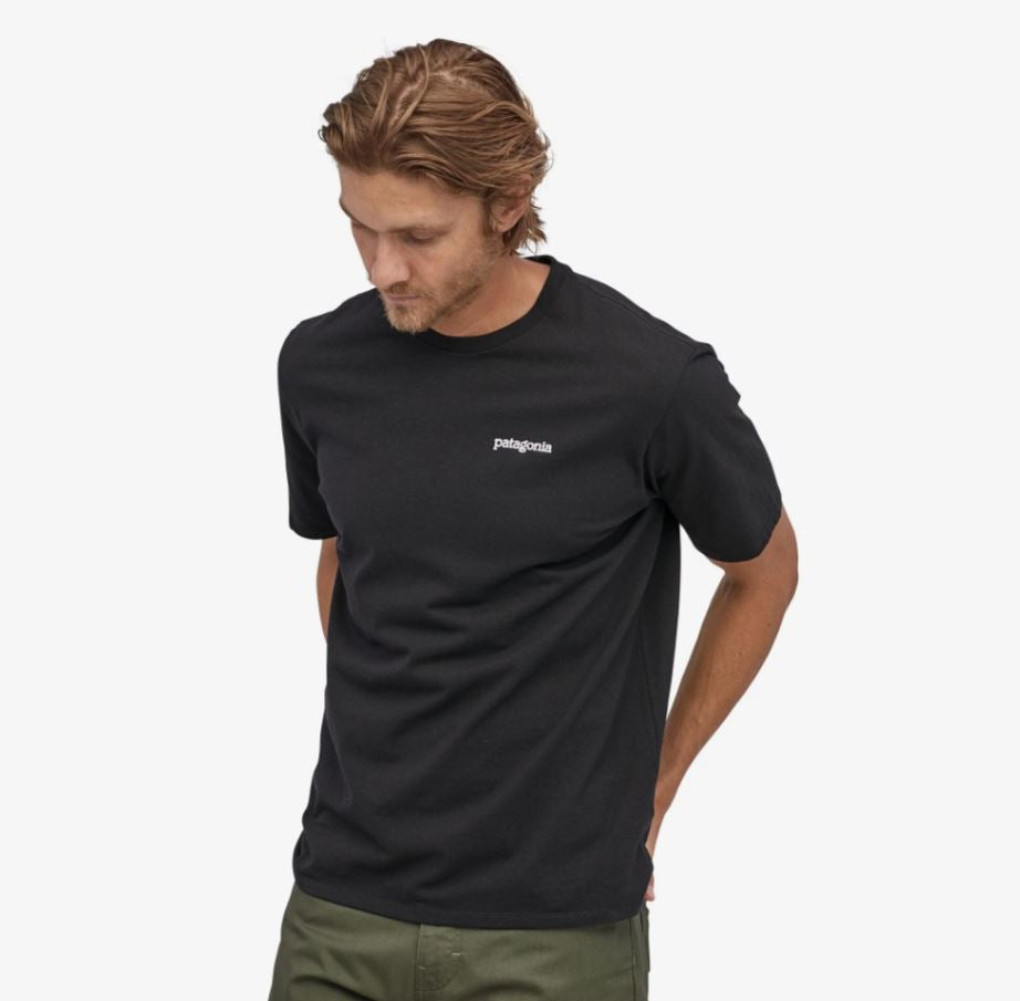 mens clothing, tshirt, patagonia, casual