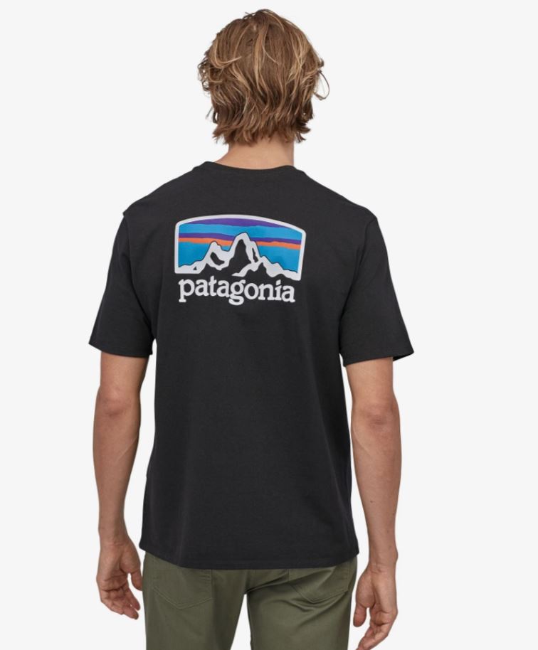 mens clothing, tshirt, patagonia, casual