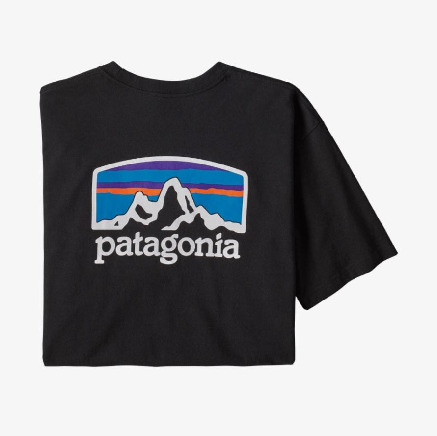 mens clothing, tshirt, patagonia, casual