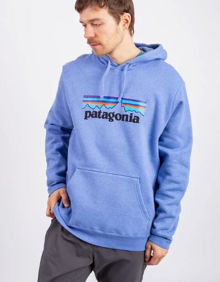 P-6 LOGO UPRISAL HOODY