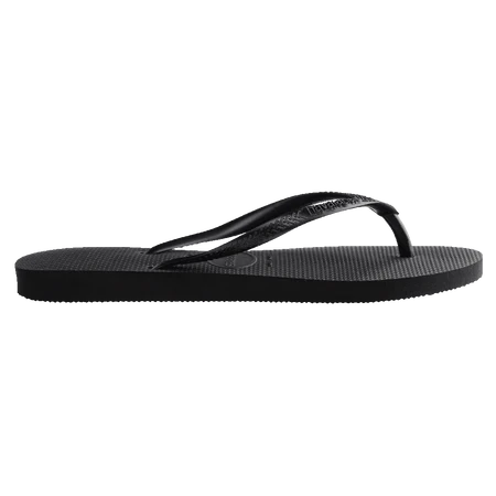SLIM BASIC